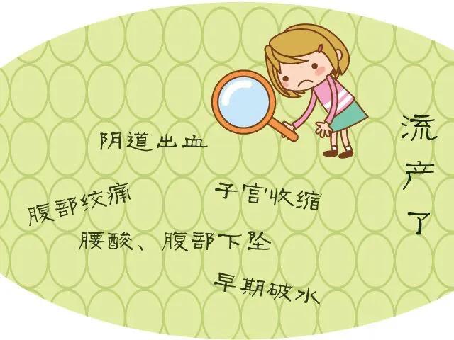 专题科普：怀孕那些事（二）