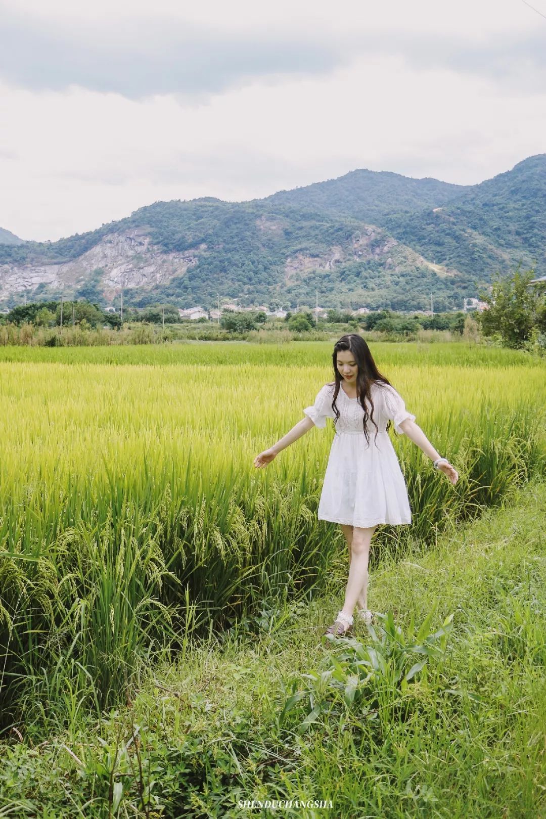 长沙旅游攻略必玩的十大景点介绍,长沙适合秋季打卡的景点