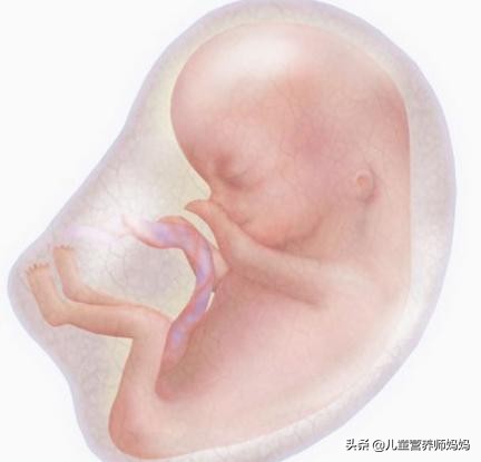 怀孕5个月突然有一天没有胎动,怀孕5个月平时胎动频繁今天不动