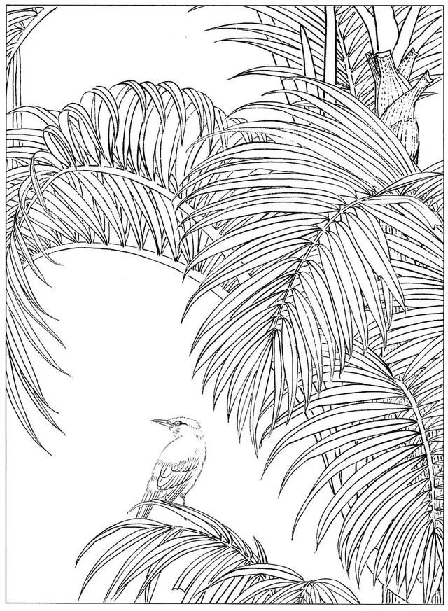 工笔花鸟白描步骤图,牡丹六尺横幅白描工笔花鸟底稿