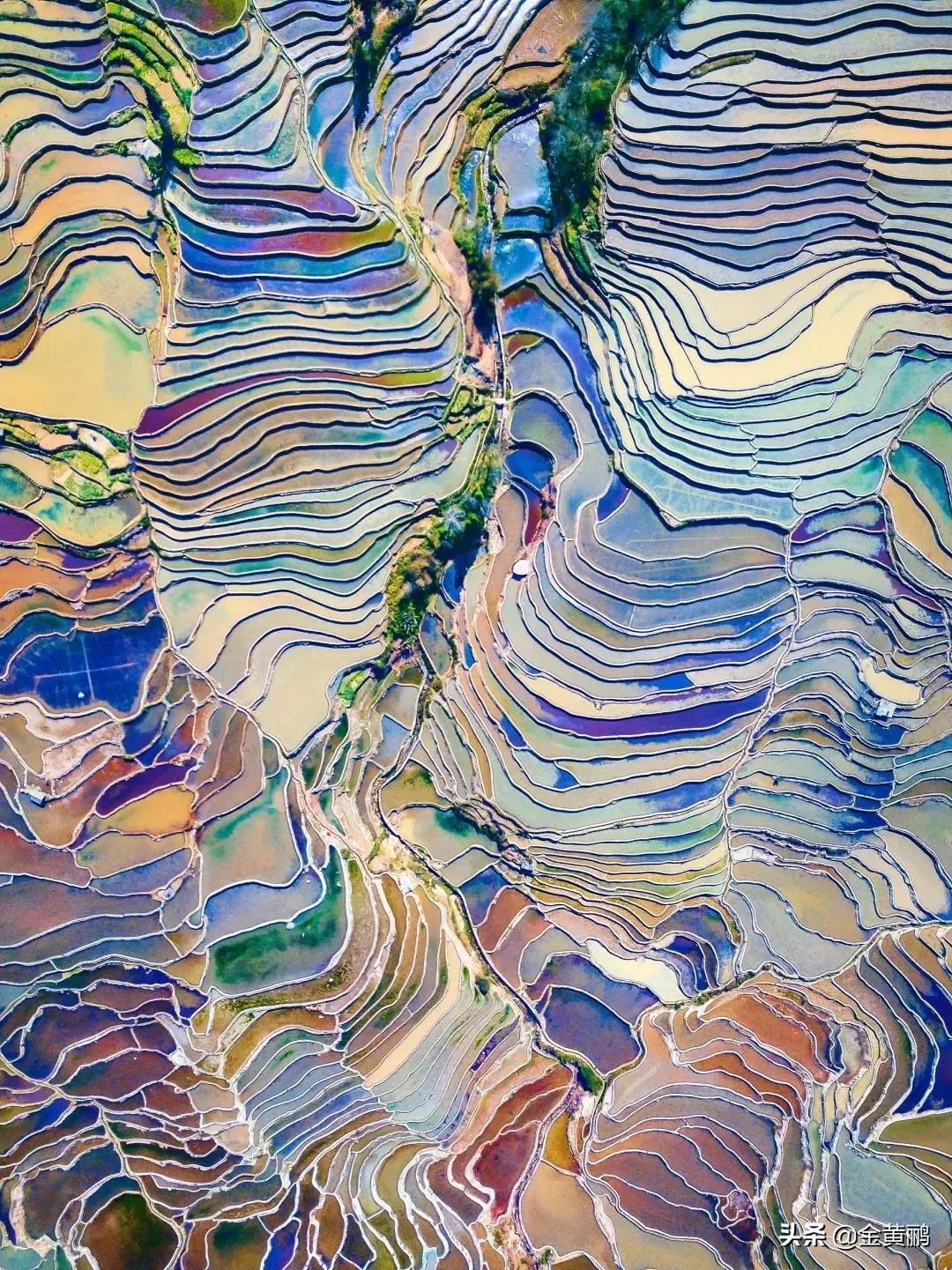 为什么云南女人长相好看,云南真的很漂亮吗