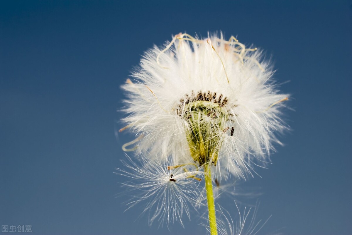 人生格言励志正能量短句精选,励志语录简短正能量人生格言大全