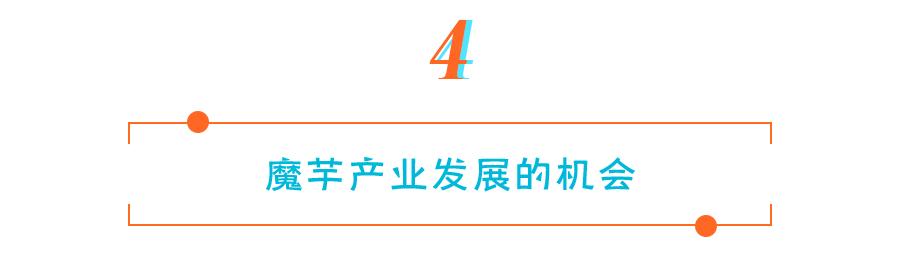 魔芋食品的发展前景,魔芋产品市场前景