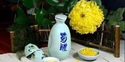菊花酒的功效与配方,菊花酒有什么功能