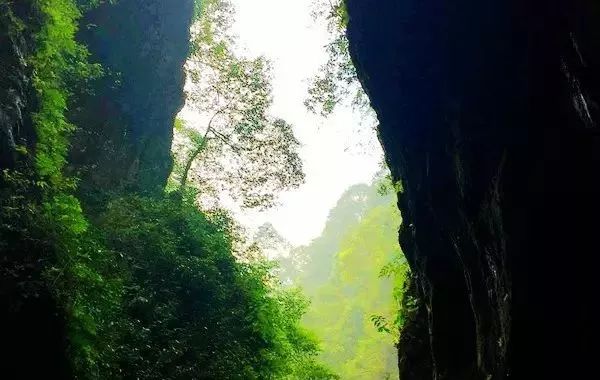 峨眉山降价最新消息,峨眉山的门票打折什么时候结束