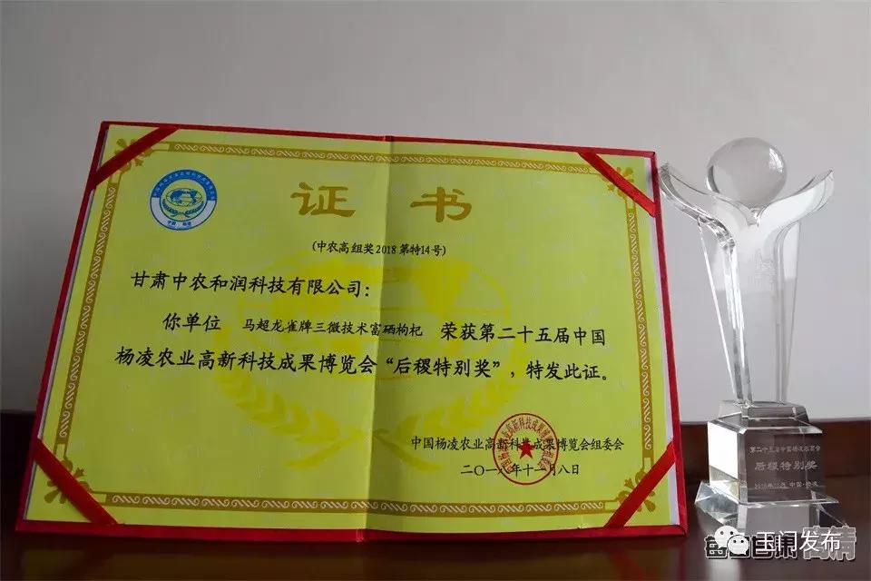 甘肃玉门枸杞项目,甘肃玉门的枸杞怎么样