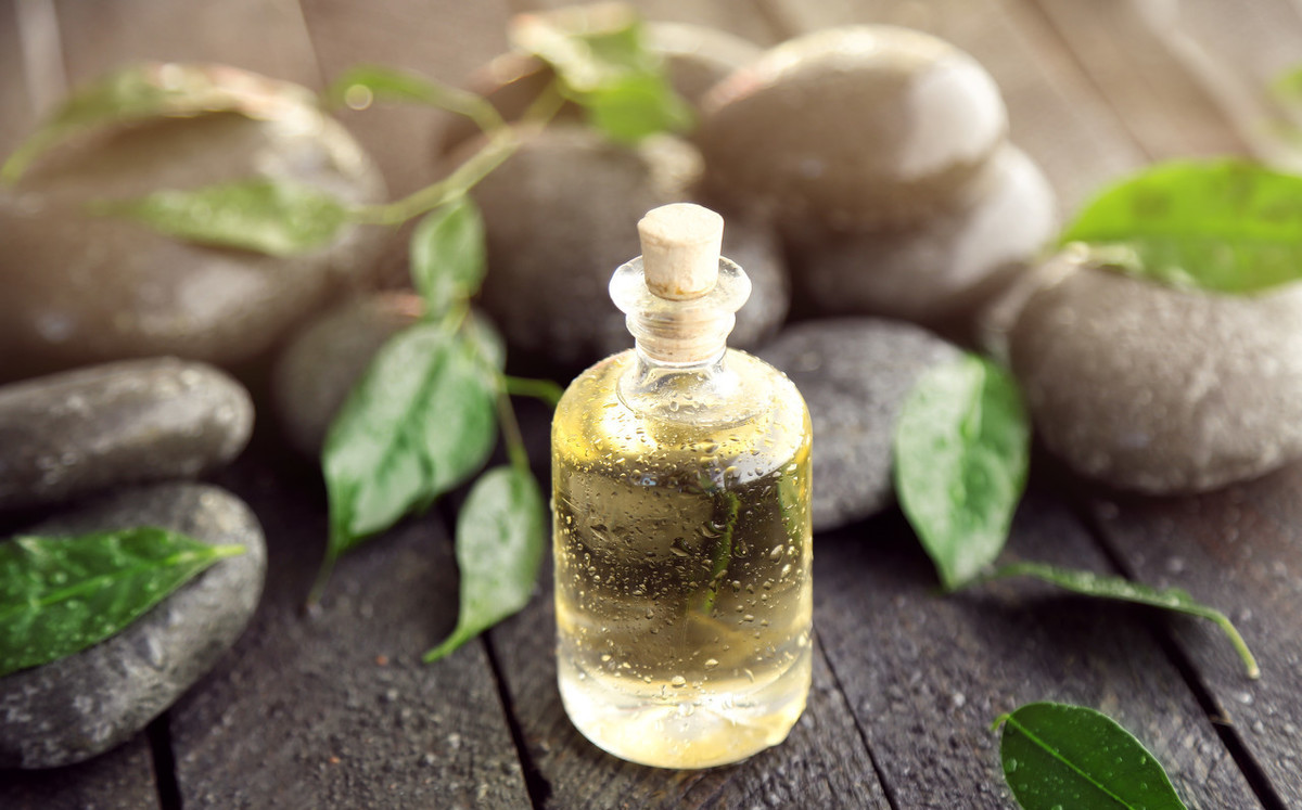 为何市场上很少有茶油,南方压榨茶油