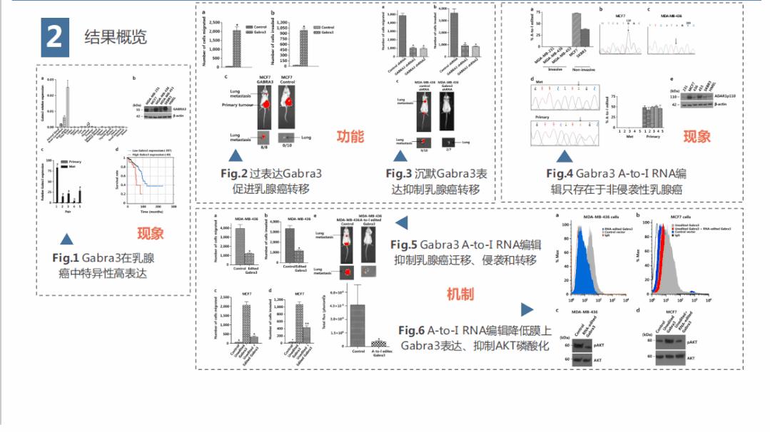 科研必杀技高效阅读和整顿文献,如何有效提取文献中的重要信息
