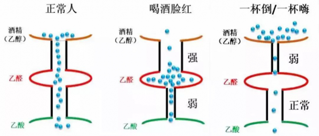 澶╂触寰嬪笀娲己,娲己寰嬪笀