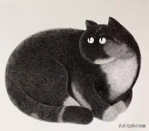 他用一支5块钱的针管笔“撸猫”，17万网友直呼：这猫要活了