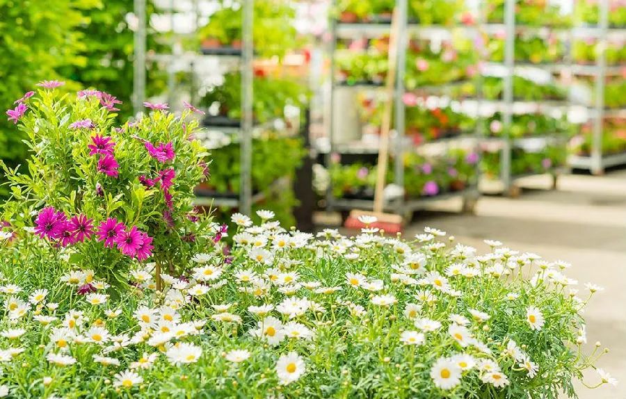 重庆五一冷门自驾,重庆出发自驾8日游攻略路线推荐