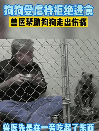给母猪保健用什么中药最好,给母猪做产后护理