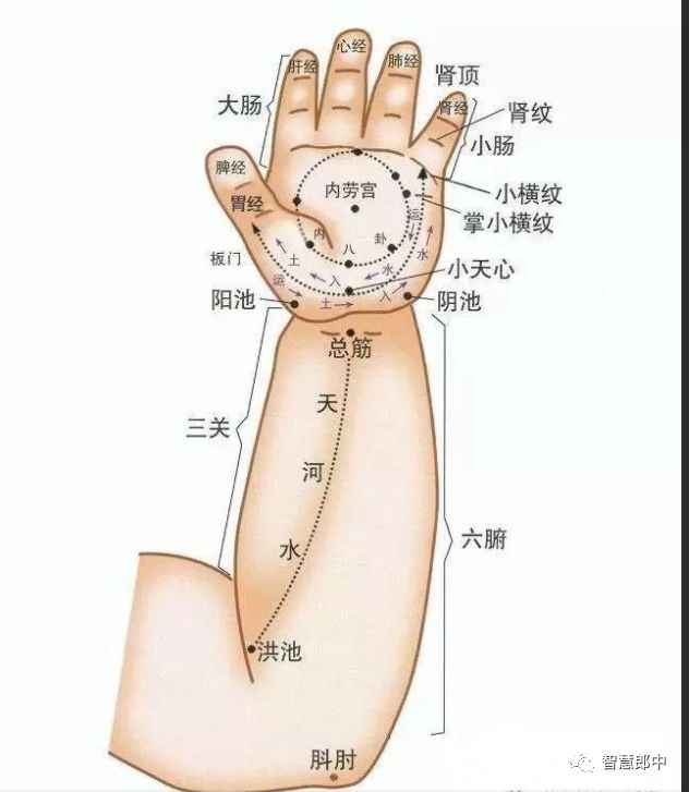 新生儿的几种生理现象图片,新生儿正常生理现象