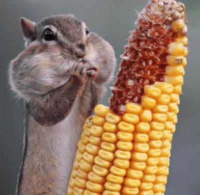 期货买卖技巧知识,期货买卖技巧和心得