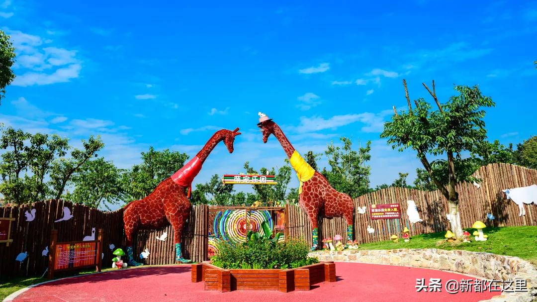 新都生活体验,来昆明感受向往的生活