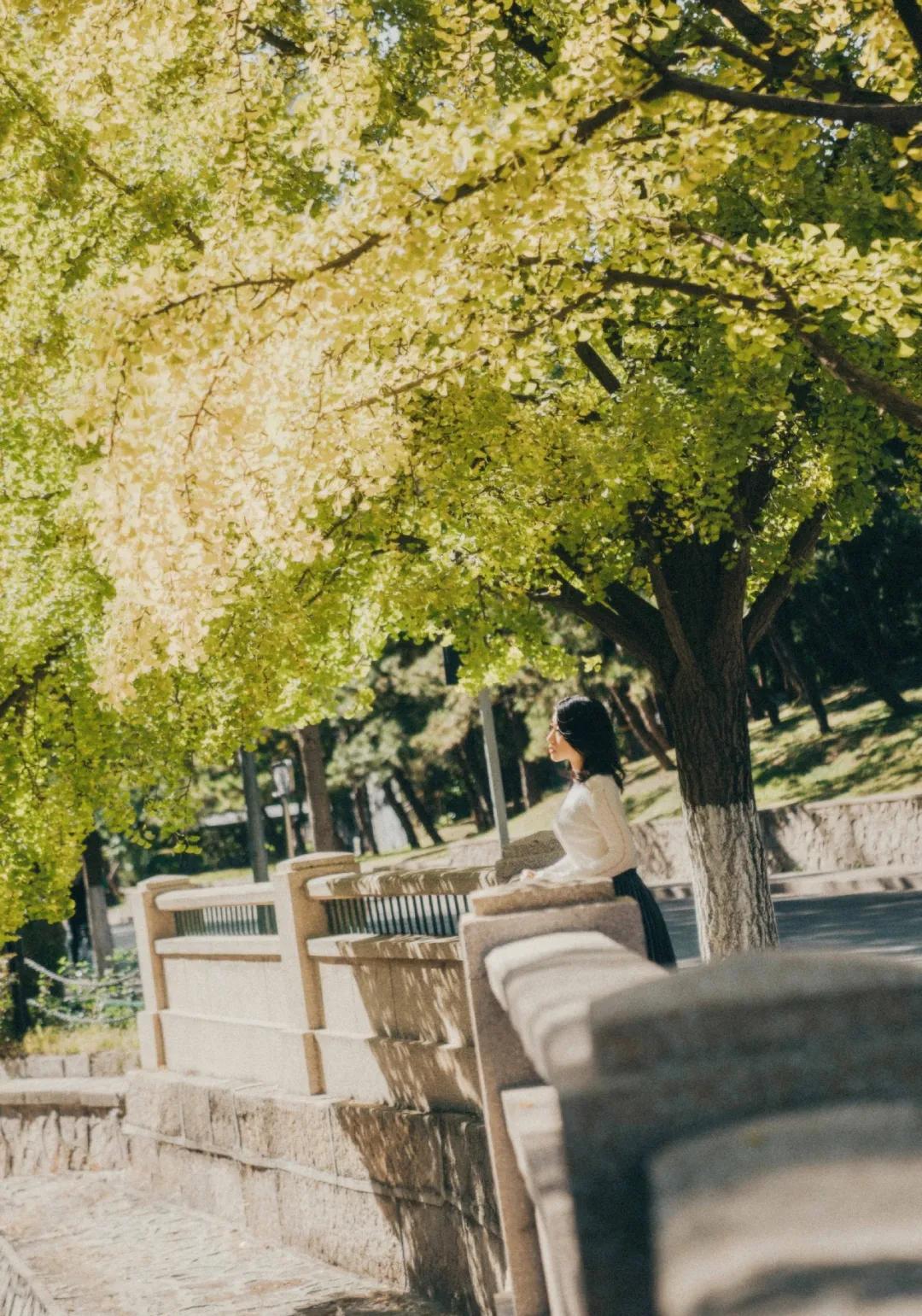 励志考上北大,2020年最励志考上北大