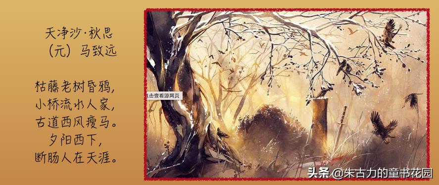 武亦姝诗词大会谈对诗词的感受,诗词大赛才女武亦姝