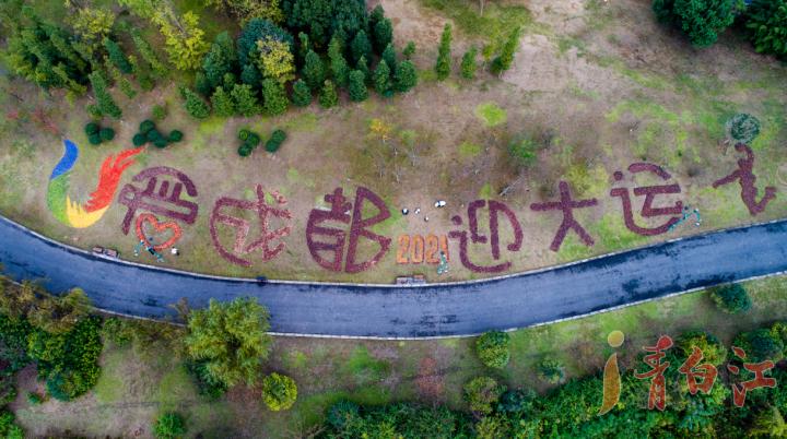 大运会会徽成都,成都大运会会徽图案