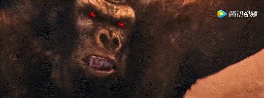 成龙和鹿晗谁厉害,七龙珠成龙是龟仙人吗