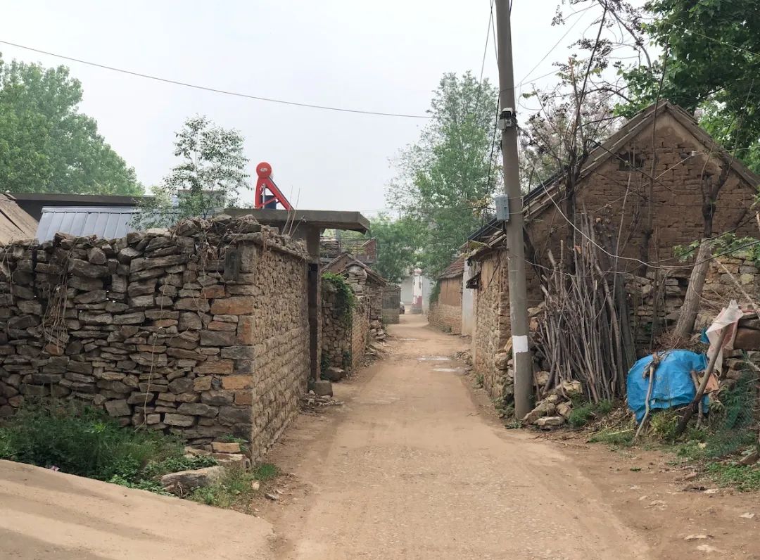 在不富裕农村干啥赚钱,在农村干啥能挣钱啊