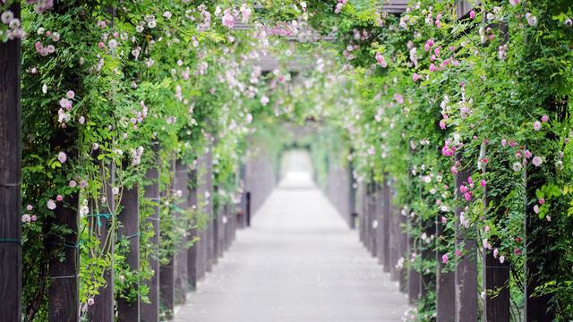 中国最低调小城市,中国最低调小镇