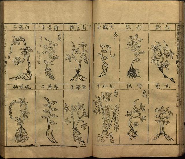 李时珍与本草纲目ppt课件,神农本草经正版李时珍书籍