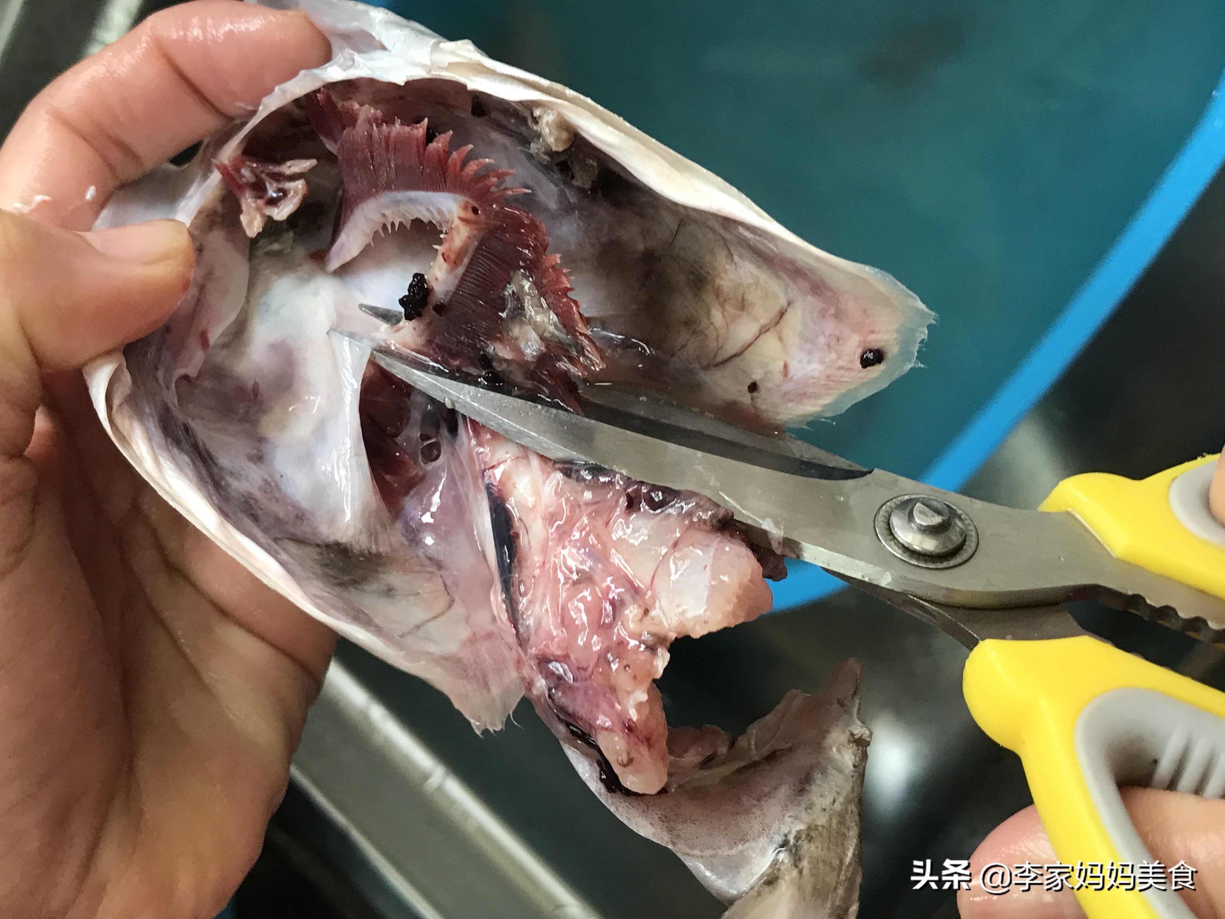 无论炖什么鱼一定要记住小常识,无论煮什么鱼都要记住