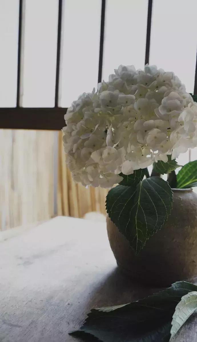 一日慎独则心安日日精进,日日精进人生