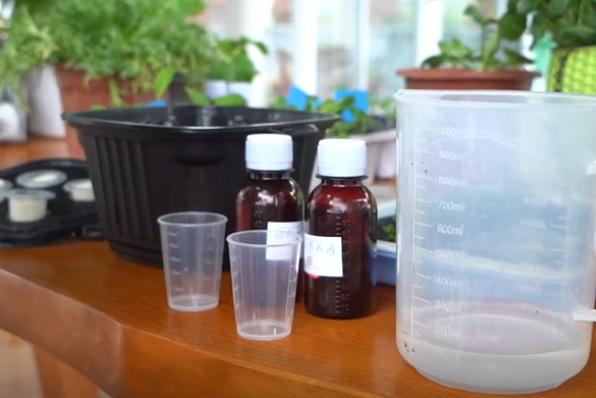 简易无土栽培蔬菜,自制无土栽培蔬菜神器