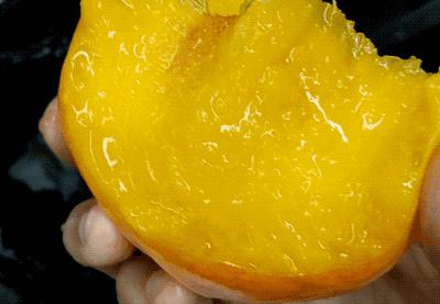 三伏天饮食上要注意些什么,三伏天的第一天要吃什么和干什么