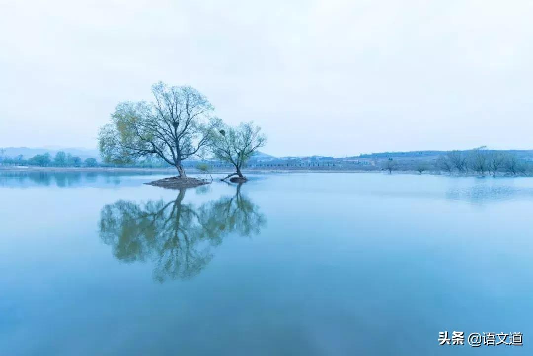 大公无私≠铁面无私：50组易混淆的成语，你真的用对了吗？