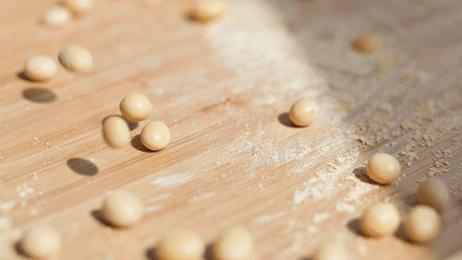 买一送一长沙店,豆乳买一送一