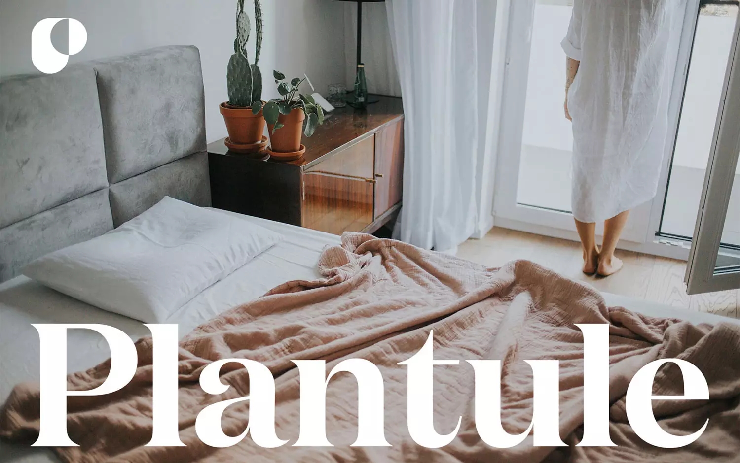 PlantulePillows家居品牌设计via:DmowskiCo.