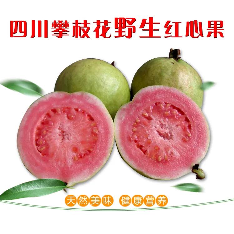 热带水果王国攀枝花,攀枝花一年四季有哪些水果