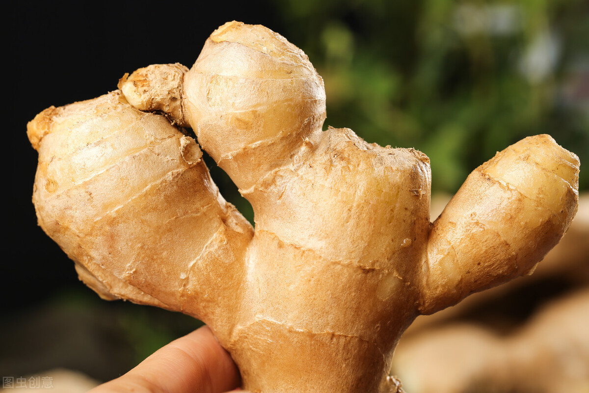 现在的生姜行情姜农赚取的收益,今年生姜为什么滞销