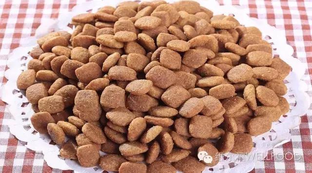 宠物狗粮该吃多少量合适,宠物营养狗粮怎么喂比较好