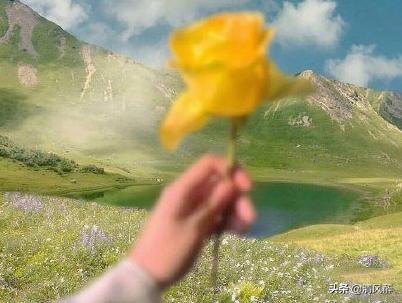 支付宝个性签名简短又内涵,支付宝个性签名怎么查看之前记录