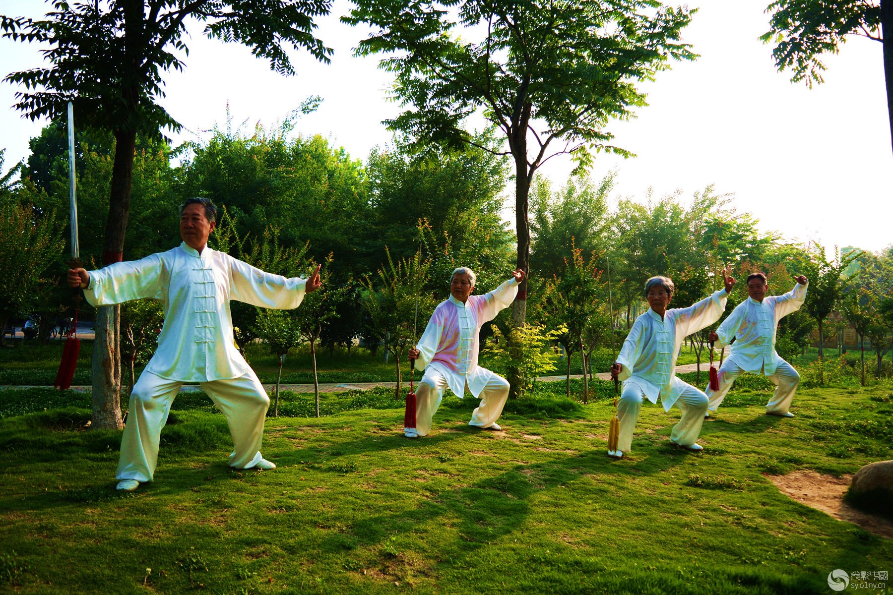 太极拳开髋提臀,练太极拳怎样改掉翘臀的毛病