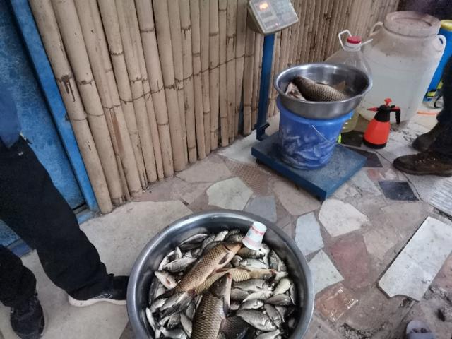 禄劝野钓鲫鱼好地方,禄劝溪流野钓