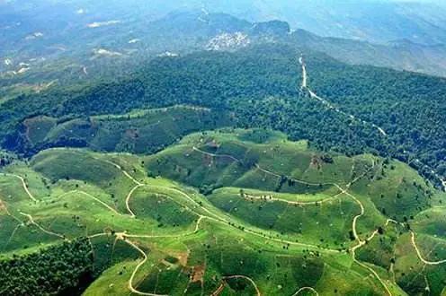 云南必玩景点推荐云南旅游攻略,旅游攻略云南最值得来的地方