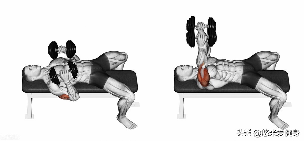 哑铃卧推正确的练法视频,哑铃卧推正确手法视频