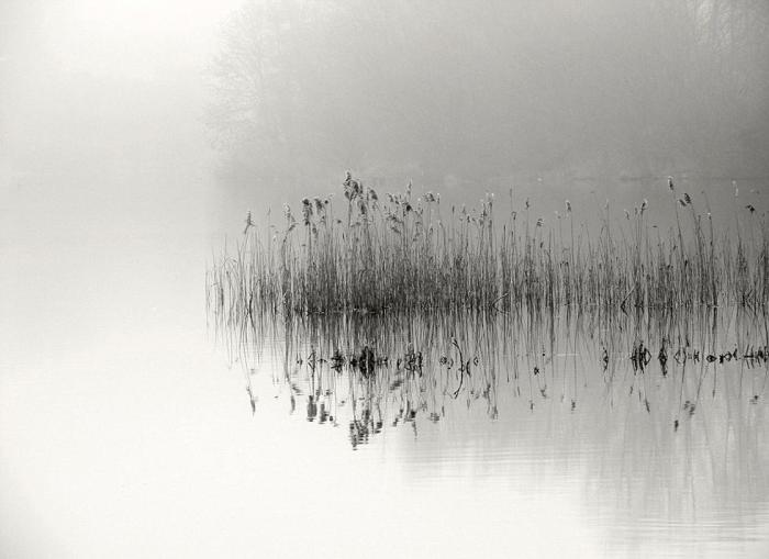 从零开始学摄影的最新入门,摄影入门从零开始学摄影要多久