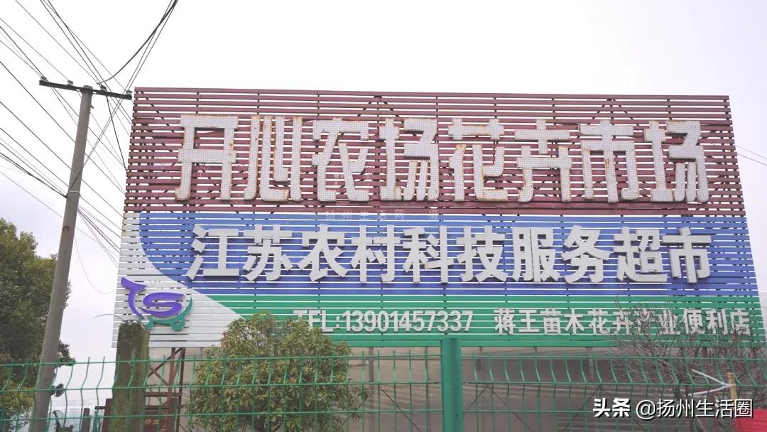 扬州花卉市场大全,扬州西区花卉市场