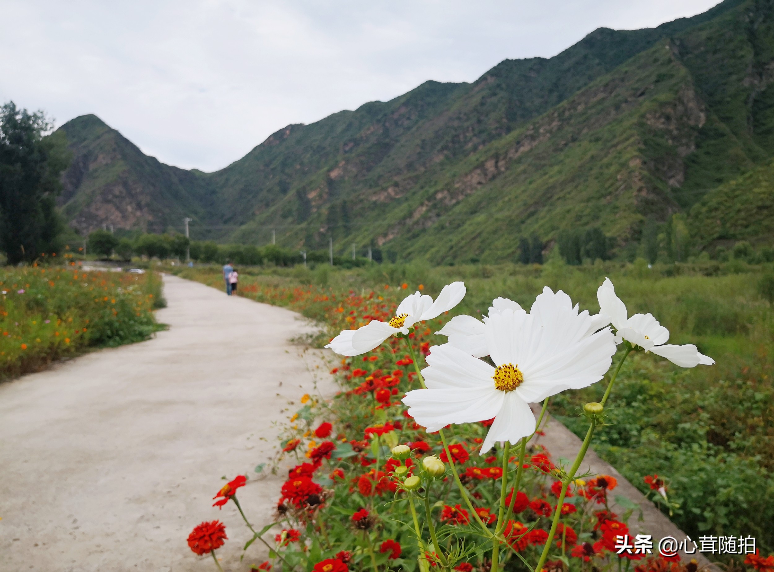 自驾白河湾,白河湾自然风景区自驾