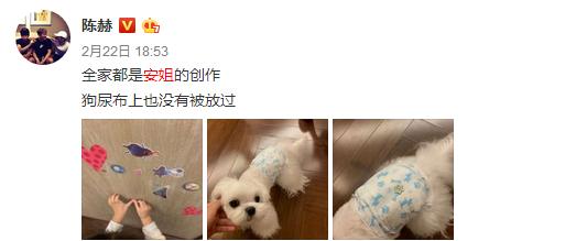 陈赫晒萌宝吐槽女儿身材反被嫌弃,和陈赫合影的小孩儿