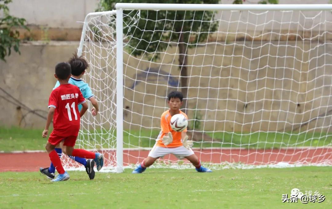 区中小学足球联赛,体教融合杯中学篮球赛