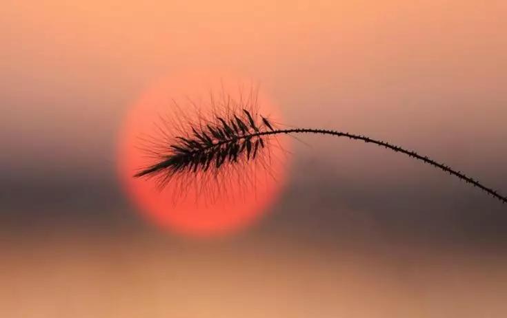 适合微信签名的句子,男人微信签名励志精辟句子