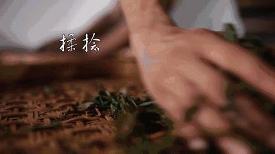 300块一斤包邮的茶叶和大几千上万的茶叶有区别么？