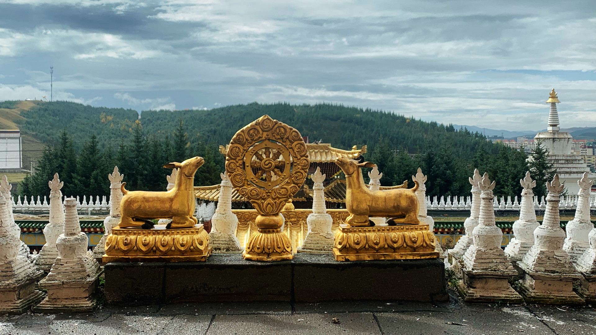 甘肃一个悬崖上的寺庙,甘肃的寺庙为什么都建在山上