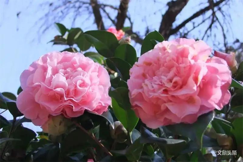 瞧！这花花世界谁不爱